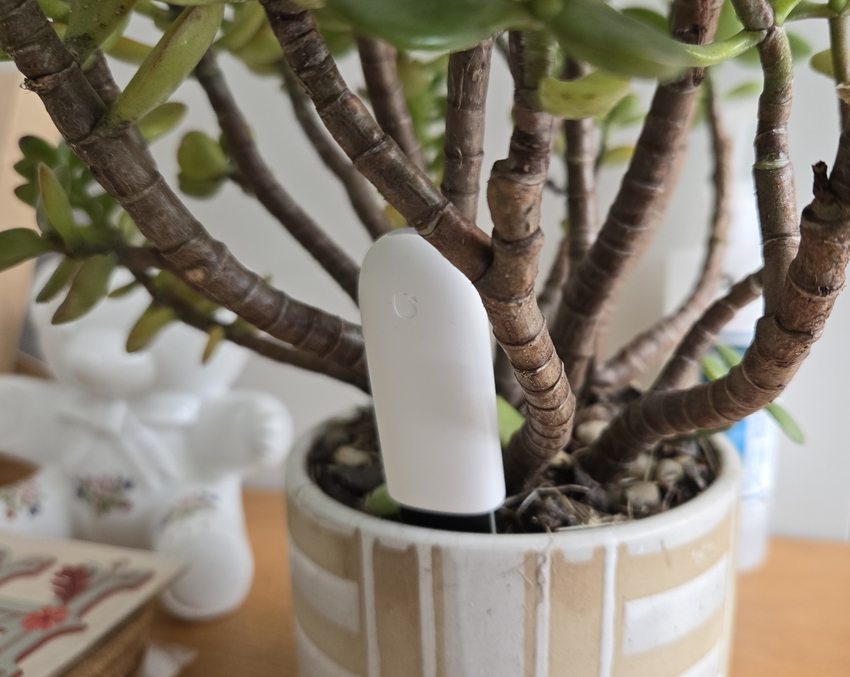 sensor 2