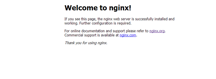nginx-success